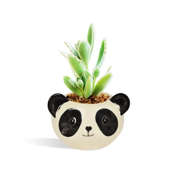 Puppy_Black_&_White_Ceramic_Pots_For_Indoor_Plants,Planters,Panda,Flower,_Gamla,Outdoor,_Balcony,_Home,Round,Garden,_Office_Decor,_Succulent_Pot_(D_-_10_X_H_-_9_Cm)