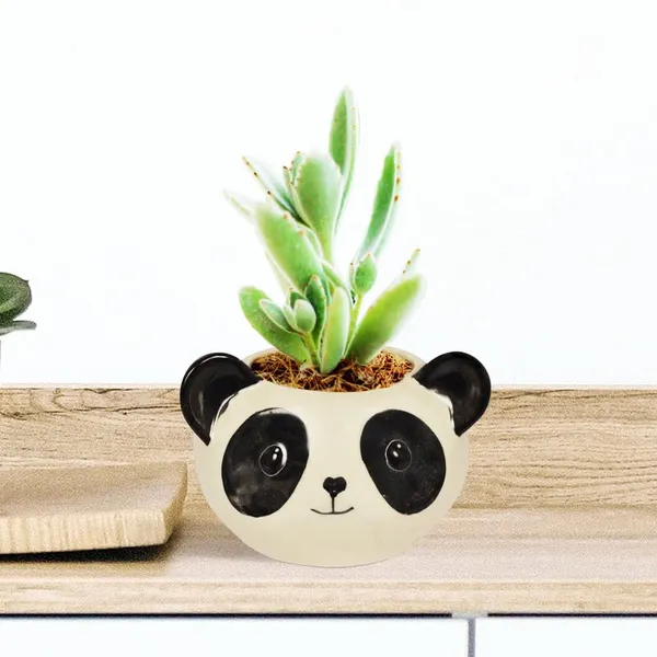 Puppy_Black_&_White_Ceramic_Pots_For_Indoor_Plants,Planters,Panda,Flower,_Gamla,Outdoor,_Balcony,_Home,Round,Garden,_Office_Decor,_Succulent_Pot_(D_-_10_X_H_-_9_Cm)