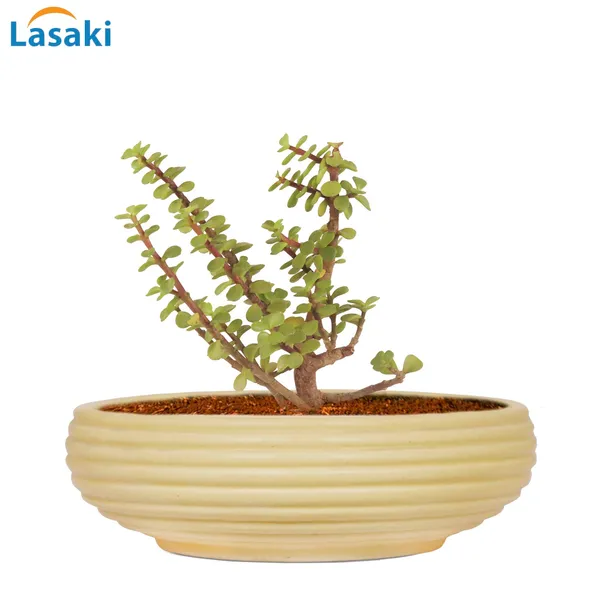 Melissa_Medium_Cream_Ceramic_Pots_For_Indoor_Plants,_Planters,_Flower,_Pots,_Gamla,_Outdoor,_Balcony,_Home,_Garden,_Office_Decor,_Succulent_Pot_(D_-_23_X_H_-_8_Cm)