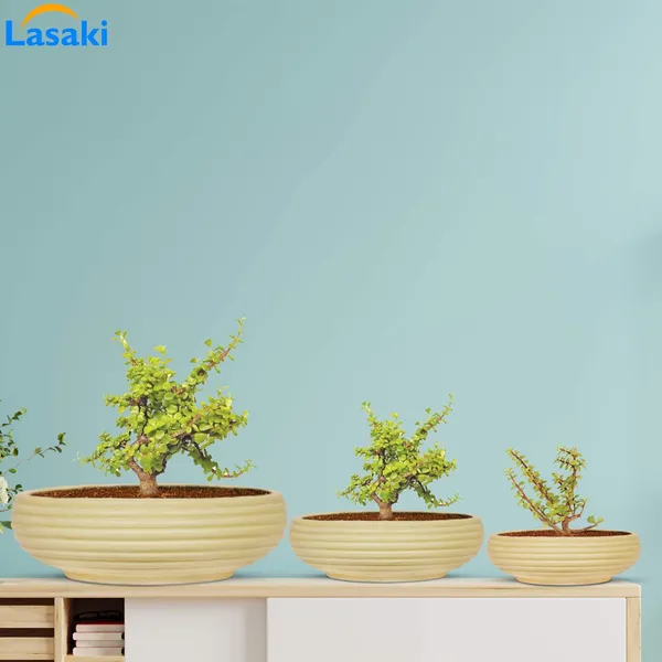 Melissa_Cream_Set_Of_3_Ceramic_Pots_For_Indoor_Plants,_Planters,_Flower,_Pots,_Gamla,_Outdoor,_Balcony,_Home,_Garden,_Office_Decor,_Succulent_Pot