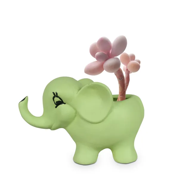 Jumbo_Mint_Ceramic_Pots_For_Indoor_Plants,_Planters,_Flower,_Pots,_Gamla,_Outdoor,_Balcony,_Home,_Garden,_Office_Decor,_Succulent_Pot_(L_-_18_X_W_-_10_X_H_-_12_Cm)