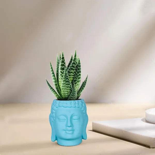 Buddha_3.5_Aqua_Ceramic_Pots_For_Indoor_Plants,_Planters,_Flower,_Pots,_Gamla,Outdoor,Balcony,Home,Round,Garden,_Office_Decor,Succulent(H_-_9_X_D_-_8.5_Cm)