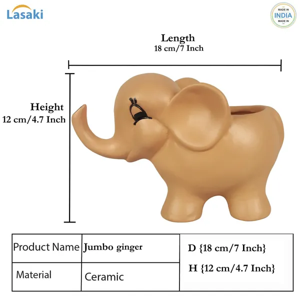 Jumbo_Ginger_Ceramic_Pots_For_Indoor_Plants,_Planters,_Flower,_Pots,_Gamla,_Outdoor,_Balcony,_Home,_Garden,_Office_Decor,_Succulent_Pot_(L_-_18_X_W_-_10_X_H_-_12_Cm)