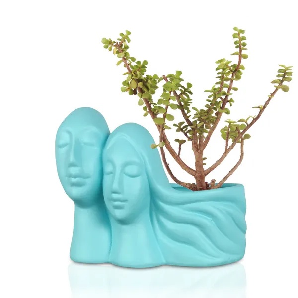 Couple_Aqua_Ceramic_Pots_For_Indoor_Plants,_Planters,_Flower,_Pots,_Gamla,_Outdoor,_Balcony,_Home,_Garden,_Office_Decor,_Succulent_Pot(L_-_16_X_W_-_10_X_H_-_14.5_Cm)