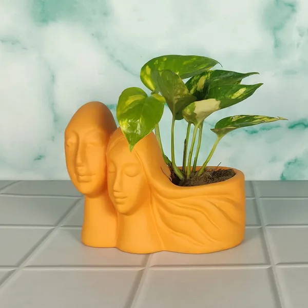Couple_Lily_Ceramic_Pots_For_Indoor_Plants,_Planters,_Flower,_Pots,_Gamla,_Outdoor,_Balcony,_Home,_Garden,_Office_Decor,_Succulent_Pot(L_-_16_X_W_-_10_X_H_-_14.5_Cm)