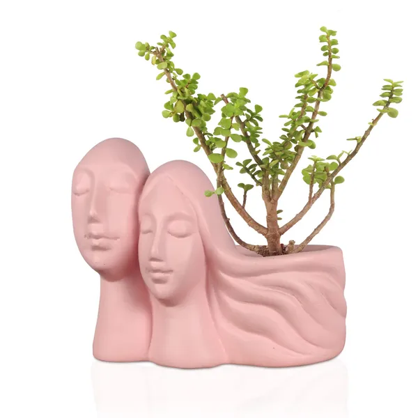 Couple_Pink_Ceramic_Pots_For_Indoor_Plants,_Planters,_Flower,_Pots,_Gamla,_Outdoor,_Balcony,_Home,_Garden,_Office_Decor,_Succulent_Pot(L_-_16_X_W_-_10_X_H_-_14.5_Cm)