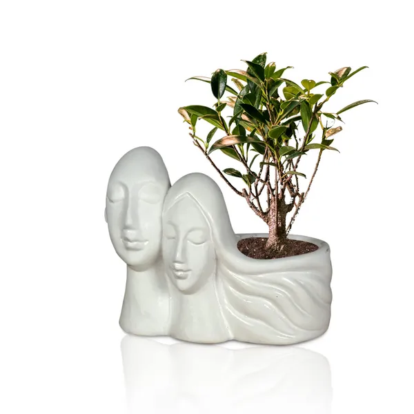 Couple_White_Ceramic_Pots_For_Indoor_Plants,_Planters,_Flower,_Pots,_Gamla,_Outdoor,_Balcony,_Home,_Garden,_Office_Decor,_Succulent_Pot(L_-_16_X_W_-_10_X_H_-_14.5_Cm)