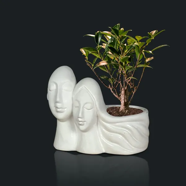 Couple_White_Ceramic_Pots_For_Indoor_Plants,_Planters,_Flower,_Pots,_Gamla,_Outdoor,_Balcony,_Home,_Garden,_Office_Decor,_Succulent_Pot(L_-_16_X_W_-_10_X_H_-_14.5_Cm)