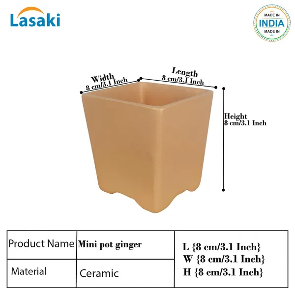 Mini_Pot_Ginger_Ceramic_Pots_For_Indoor_Plants,Planters,Flower,Gamla,Outdoor,Balcony,Home,Square,Garden,Office_Decor,Succulent(L-8_X_W-8_X_H-8_Cm)