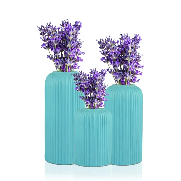 Evelyn_Aqua_Set_Of_3_Ceramic_Flower_Vase_For_Living_Room,_Bedroom,_Dining_Table,_Home_Decoration