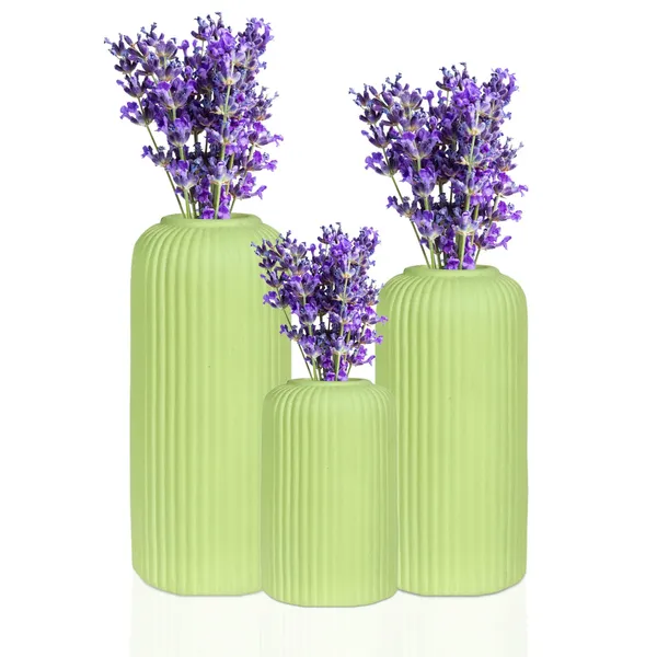 Evelyn_Mint_Set_Of_3_Ceramic_Flower_Vase_For_Living_Room,_Bedroom,_Dining_Table,_Home_Decoration