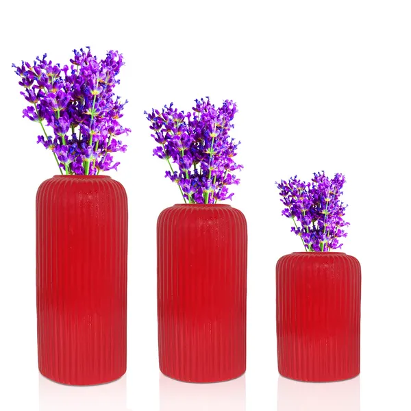 Evelyn_Red_Set_Of_3_Ceramic_Flower_Vase_For_Living_Room,_Bedroom,_Dining_Table,_Home_Decoration