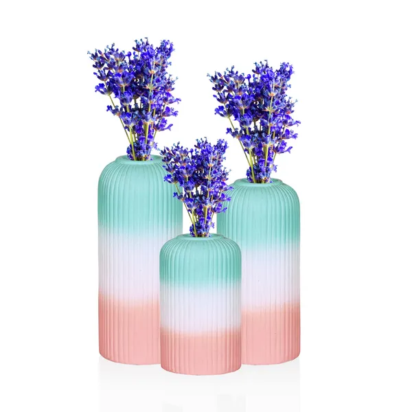 Evelyn_3T_Pwa_Set_Of_3_Ceramic_Flower_Vase_For_Living_Room,_Bedroom,_Dining_Table,_Home_Decoration
