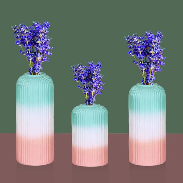 Evelyn_3T_Pwa_Set_Of_3_Ceramic_Flower_Vase_For_Living_Room,_Bedroom,_Dining_Table,_Home_Decoration