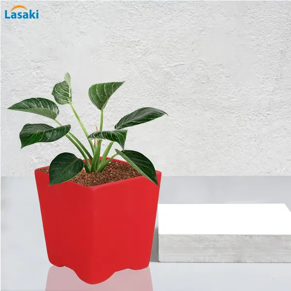 Mini_Pot_Red_Ceramic_Pots_For_Indoor_Plants,Planters,Flower,Gamla,Outdoor,Balcony,Home,Square,Garden,Office_Decor,Succulent(L-8_X_W-8_X_H-8_Cm)