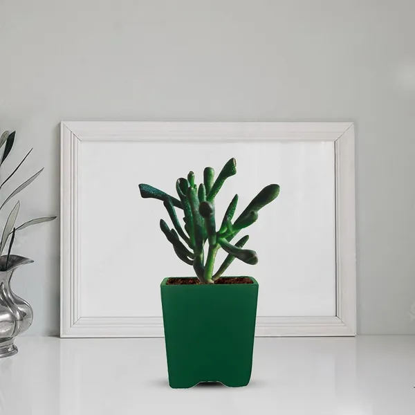 Mini_Pot_Deep_Jungle_Ceramic_Pots_For_Indoor_Plants,Planters,Flower,Gamla,Outdoor,Balcony,Home,Square,Garden,Office_Decor,Succulent(L-8_X_W-8_X_H-8_Cm)