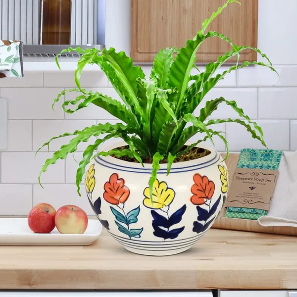 Cloud_Apple_Medium_Painting_Ceramic_Pots_For_Indoor_Plants,_Planters,_Flower,_Gamla,Balcony,Home,Garden,Office_Decor,Succulent(H_-_9.5_X_D_-_14_Cm)(Any_Color_May_Come)