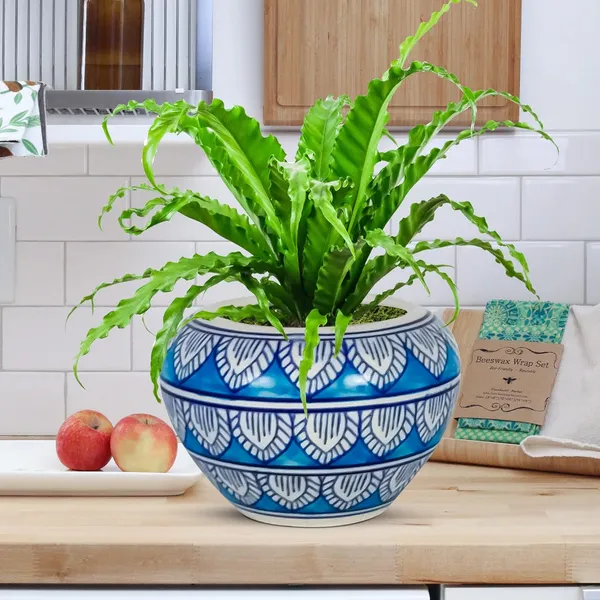 Cloud_Apple_Medium_Painting_Ceramic_Pots_For_Indoor_Plants,_Planters,_Flower,_Gamla,Balcony,Home,Garden,Office_Decor,Succulent(H_-_9.5_X_D_-_14_Cm)(Any_Color_May_Come)