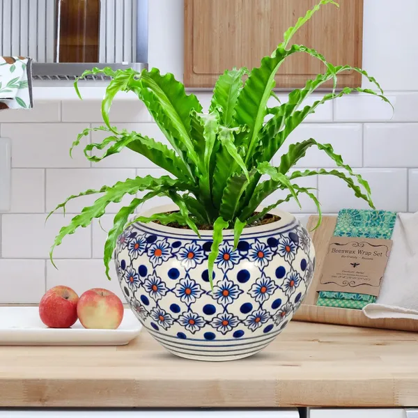Cloud_Apple_Medium_Painting_Ceramic_Pots_For_Indoor_Plants,_Planters,_Flower,_Gamla,Balcony,Home,Garden,Office_Decor,Succulent(H_-_9.5_X_D_-_14_Cm)(Any_Color_May_Come)