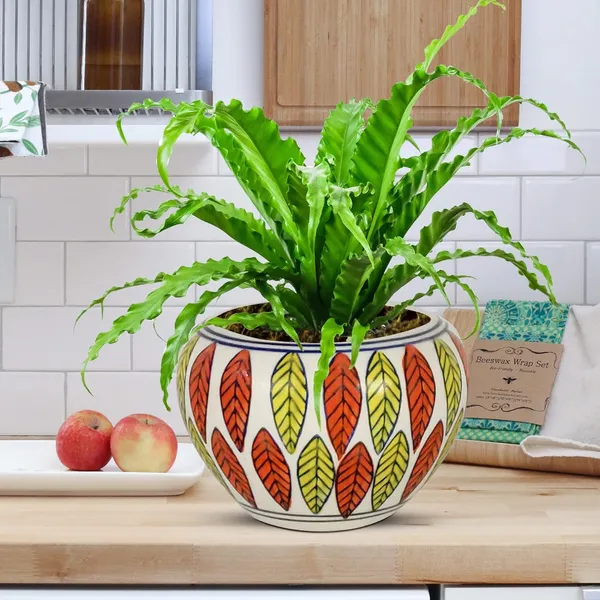 Cloud_Apple_Medium_Painting_Ceramic_Pots_For_Indoor_Plants,_Planters,_Flower,_Gamla,Balcony,Home,Garden,Office_Decor,Succulent(H_-_9.5_X_D_-_14_Cm)(Any_Color_May_Come)