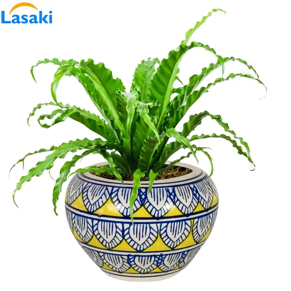 Cloud_Apple_Medium_Painting_Ceramic_Pots_For_Indoor_Plants,_Planters,_Flower,_Gamla,Balcony,Home,Garden,Office_Decor,Succulent(H_-_9.5_X_D_-_14_Cm)(Any_Color_May_Come)