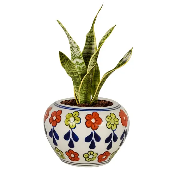 Cloud_Apple_Small_Painting_Ceramic_Pots_For_Indoor_Plants,_Planters,_Flower,_Gamla,Balcony,Home,Garden,Office_Decor,Succulent(H_-_8_X_D_-_11_Cm)(Any_Color_May_Come)