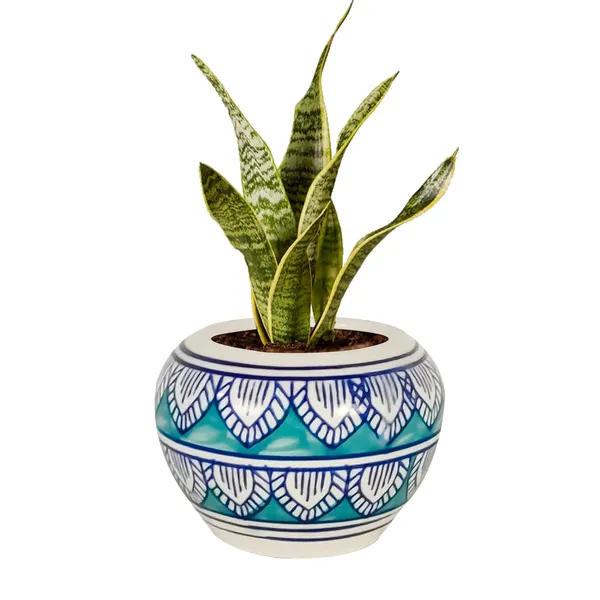 Cloud_Apple_Small_Painting_Ceramic_Pots_For_Indoor_Plants,_Planters,_Flower,_Gamla,Balcony,Home,Garden,Office_Decor,Succulent(H_-_8_X_D_-_11_Cm)(Any_Color_May_Come)