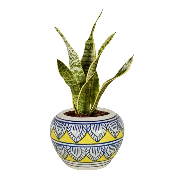 Cloud_Apple_Small_Painting_Ceramic_Pots_For_Indoor_Plants,_Planters,_Flower,_Gamla,Balcony,Home,Garden,Office_Decor,Succulent(H_-_8_X_D_-_11_Cm)(Any_Color_May_Come)