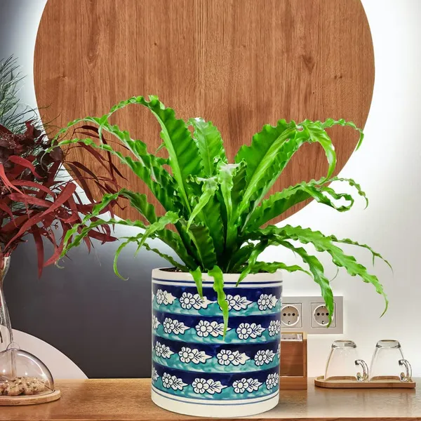 Pi_Pot_1_Ceramic_Pots_For_Indoor_Plants,_Planters,_Flower,_Pots,Outdoor,Balcony,Home,Round,Garden,_Office_Decor,Succulent(H_-_15.5_X_D_-_15.5_Cm)(Any_Color_May_Come)