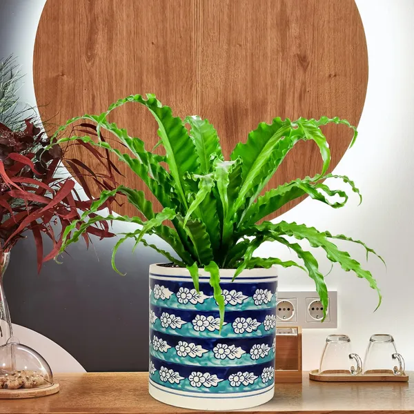 Pi_Pot_1_Ceramic_Pots_For_Indoor_Plants,_Planters,_Flower,_Pots,Outdoor,Balcony,Home,Round,Garden,_Office_Decor,Succulent(H_-_15.5_X_D_-_15.5_Cm)(Any_Color_May_Come)