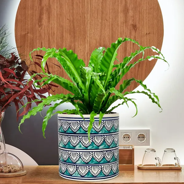 Pi_Pot_1_Ceramic_Pots_For_Indoor_Plants,_Planters,_Flower,_Pots,Outdoor,Balcony,Home,Round,Garden,_Office_Decor,Succulent(H_-_15.5_X_D_-_15.5_Cm)(Any_Color_May_Come)