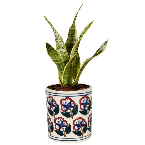 Pi_Pot_2_Ceramic_Pots_For_Indoor_Plants,_Planters,_Flower,_Pots,Outdoor,Balcony,Home,Round,Garden,_Office_Decor,Succulent(H_-_14_X_D_-_12_Cm)(Any_Color_May_Come)