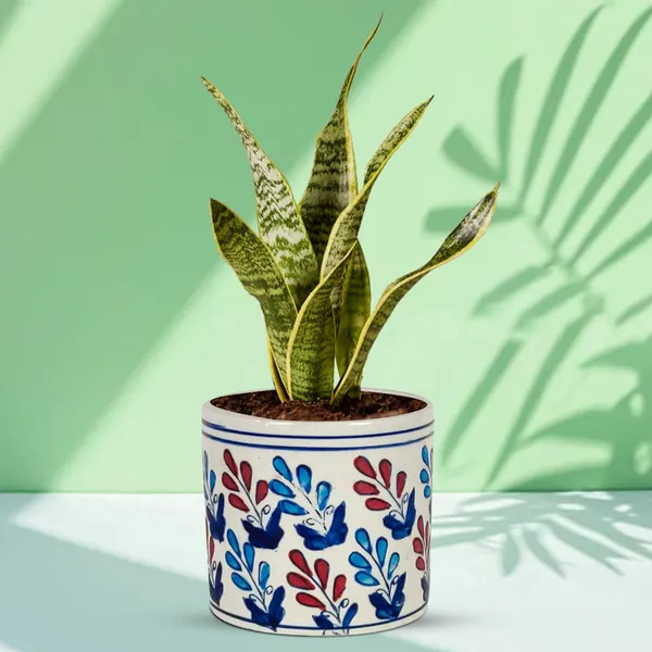 Pi_Pot_3_Ceramic_Pots_For_Indoor_Plants,_Flower,_Pots,_Gamla,Outdoor,Balcony,Home,Round,Garden,_Office_Decor,Succulent(H_-_10_X_D_-_11_Cm)(Any_Color_May_Come)