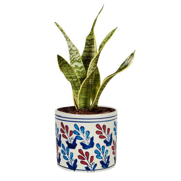 Pi_Pot_3_Ceramic_Pots_For_Indoor_Plants,_Flower,_Pots,_Gamla,Outdoor,Balcony,Home,Round,Garden,_Office_Decor,Succulent(H_-_10_X_D_-_11_Cm)(Any_Color_May_Come)