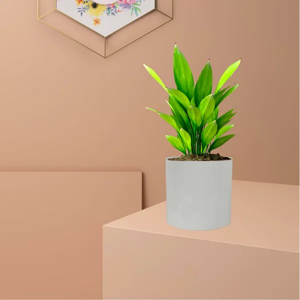 Pi_Pot_4_White_Ceramic_Pots_For_Indoor_Plants,_Planters,_Flower,_Pots,_Gamla,Outdoor,Balcony,Home,Round,Garden,_Office_Decor,Succulent(H_-_9_X_D_-_9_Cm)