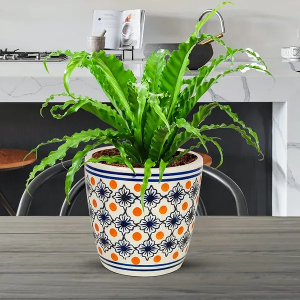 Luis_2_Ceramic_Pots_For_Indoor_Plants,_Planters,_Flower,_Pots,_Gamla,Outdoor,Balcony,Home,Round,Garden,_Office_Decor,Succulent(H_-_10_X_D_-_10_Cm)(Any_Color_May_Come)