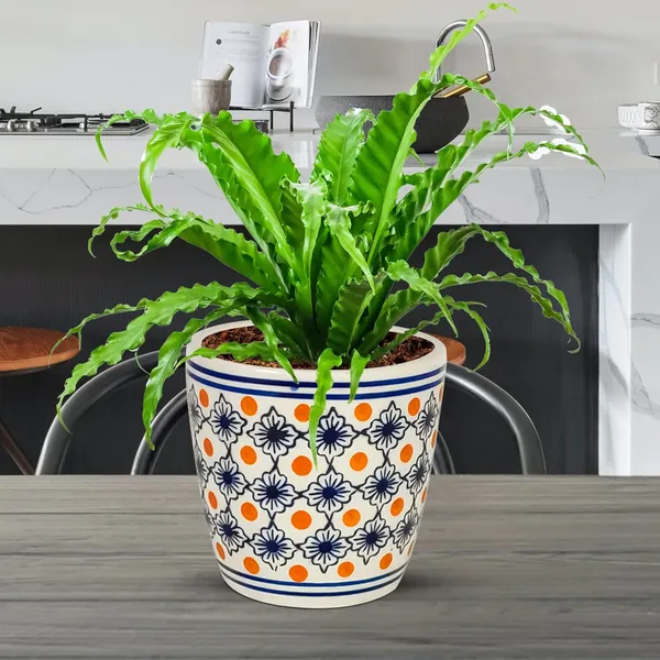 Luis_2_Ceramic_Pots_For_Indoor_Plants,_Planters,_Flower,_Pots,_Gamla,Outdoor,Balcony,Home,Round,Garden,_Office_Decor,Succulent(H_-_10_X_D_-_10_Cm)(Any_Color_May_Come)