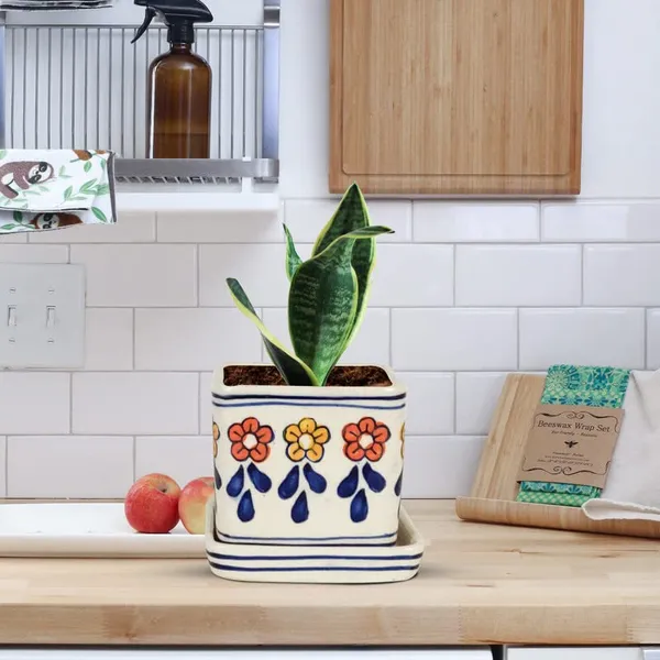 Hunt_With_Plate_Ceramic_Pots_For_Indoor_Plants,Planters,Flower,Gamla,Outdoor,Balcony,Home,Square,Garden,Office_Decor,Succulent(L-8_X_W-8_X_H-7.5_Cm)(Any_Color_May_Come)