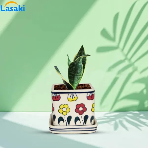 Hunt_With_Plate_Ceramic_Pots_For_Indoor_Plants,Planters,Flower,Gamla,Outdoor,Balcony,Home,Square,Garden,Office_Decor,Succulent(L-8_X_W-8_X_H-7.5_Cm)(Any_Color_May_Come)