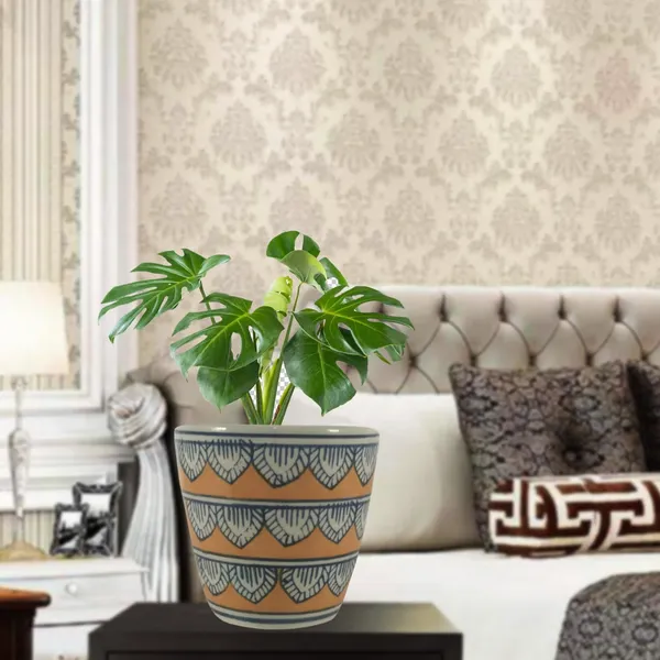 Luis_1_Ceramic_Pots_For_Indoor_Plants,_Planters,_Flower,_Gamla,Outdoor,Balcony,Home,Round,Garden,_Office_Decor,Succulent(H_-_11.5_X_D_-_12.5_Cm)(Any_Color_May_Come)