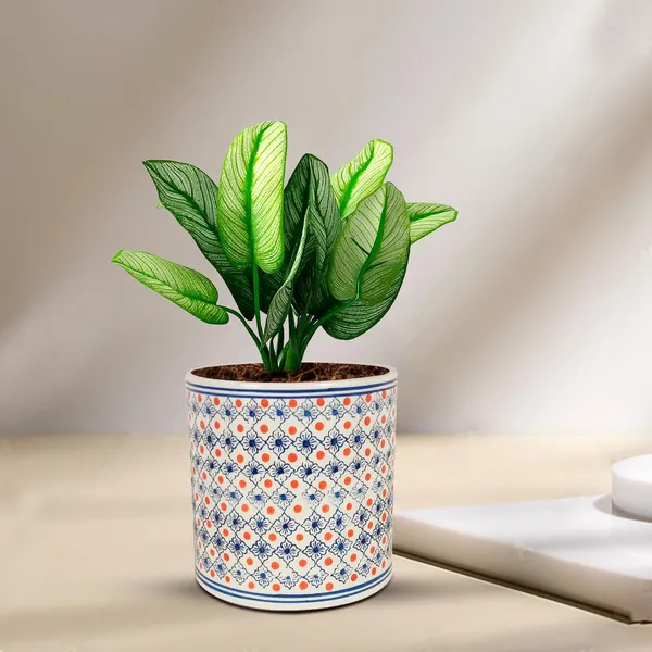 Pi_Pot_Large_Ceramic_Pots_For_Indoor_Plants,_Planters,_Flower,_Gamla,Outdoor,Balcony,Home,Round,Garden,_Office_Decor,Succulent(H_-_20_X_D_-_20_Cm)(Any_Color_May_Come)