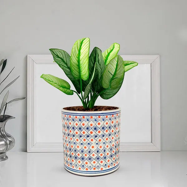 Pi_Pot_Large_Ceramic_Pots_For_Indoor_Plants,_Planters,_Flower,_Gamla,Outdoor,Balcony,Home,Round,Garden,_Office_Decor,Succulent(H_-_20_X_D_-_20_Cm)(Any_Color_May_Come)