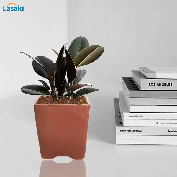 Mini_Pot_Truffle_Ceramic_Pots_For_Indoor_Plants,Planters,Flower,Gamla,Outdoor,Balcony,Home,Square,Garden,Office_Decor,Succulent(L-8_X_W-8_X_H-8_Cm)