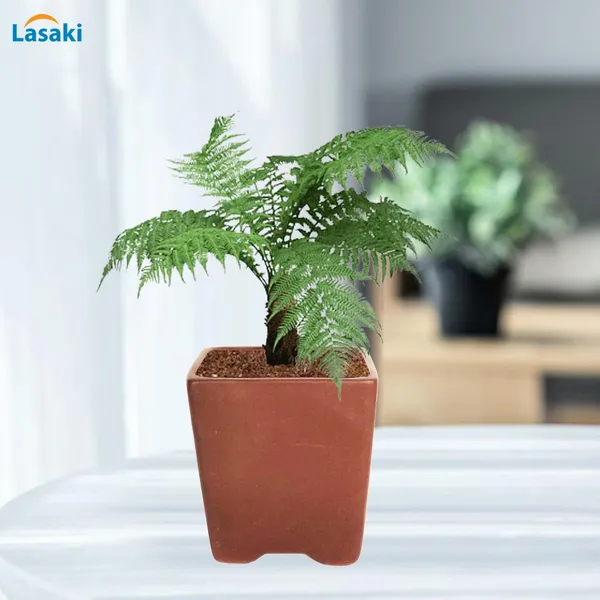 Mini_Pot_Truffle_Ceramic_Pots_For_Indoor_Plants,Planters,Flower,Gamla,Outdoor,Balcony,Home,Square,Garden,Office_Decor,Succulent(L-8_X_W-8_X_H-8_Cm)