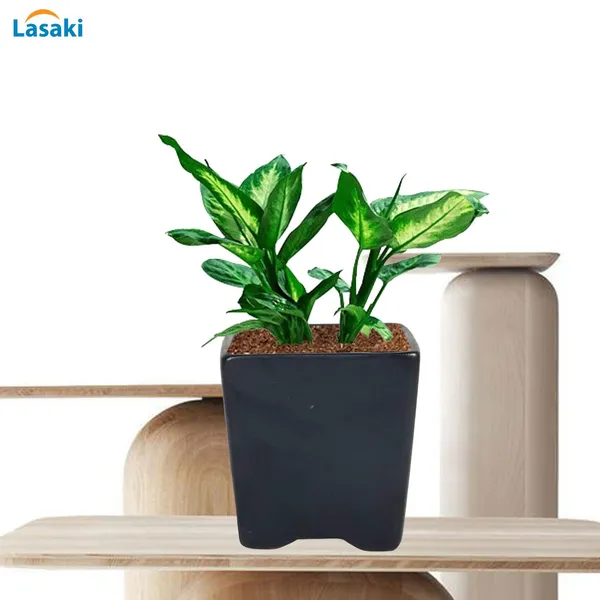 Mini_Pot_Black_Ceramic_Pots_For_Indoor_Plants,Planters,Flower,Gamla,Outdoor,Balcony,Home,Square,Garden,Office_Decor,Succulent(L-8_X_W-8_X_H-8_Cm)