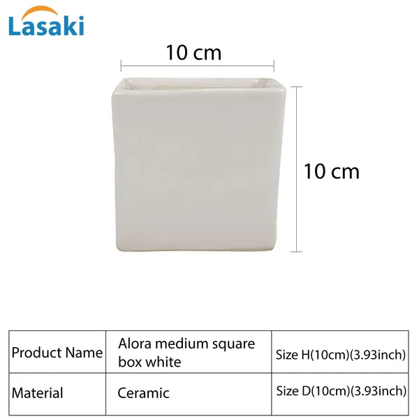 Alora_4_Inch_Square_Box_White_Ceramic_Pots_For_Indoor_Plants,Planters,Flower,Gamla,Outdoor,Balcony,Home,Square,Garden,Office_Decor,Succulent(L-10_X_W-10_X_H-10_Cm)