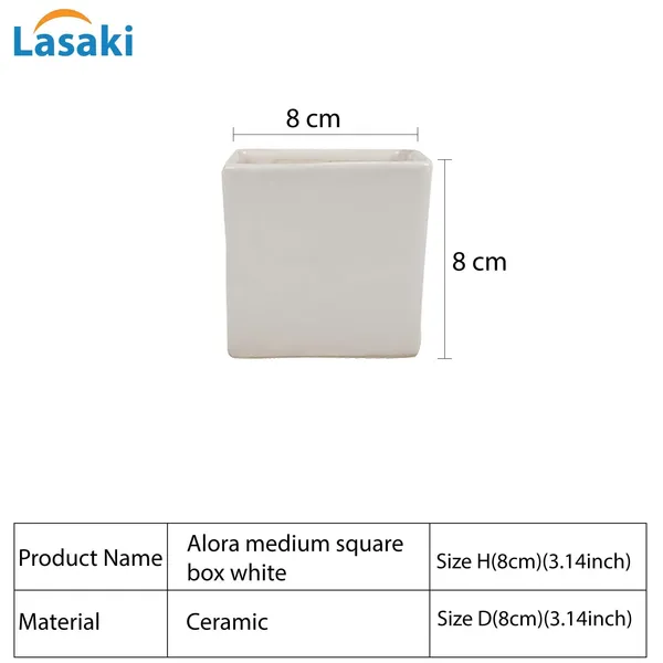 Alora_3_Inch_Square_Box_White_Ceramic_Pots_For_Indoor_Plants,Planters,Flower,Gamla,Outdoor,Balcony,Home,Square,Garden,Office_Decor,Succulent(L-8_X_W-8_X_H-8_Cm)