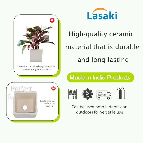 Alora_3_Inch_Square_Box_White_Ceramic_Pots_For_Indoor_Plants,Planters,Flower,Gamla,Outdoor,Balcony,Home,Square,Garden,Office_Decor,Succulent(L-8_X_W-8_X_H-8_Cm)
