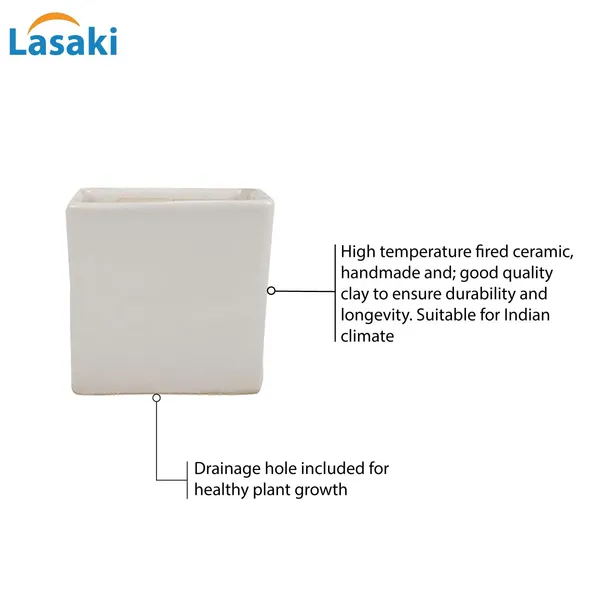 Alora_3_Inch_Square_Box_White_Ceramic_Pots_For_Indoor_Plants,Planters,Flower,Gamla,Outdoor,Balcony,Home,Square,Garden,Office_Decor,Succulent(L-8_X_W-8_X_H-8_Cm)