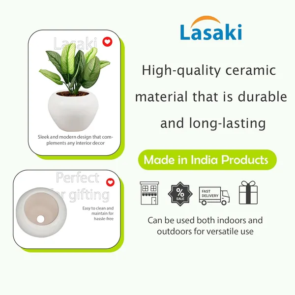 Cloud_Apple_Medium_White_Ceramic_Pots_For_Indoor_Plants,_Planters,_Flower,_Pots,_Gamla,Outdoor,Balcony,Home,Round,Garden,_Office_Decor,Succulent(H_-_9.5_X_D_-_14_Cm)